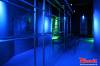 Beliebteste Eintraege | Phoenix Sauna - D�sseldorf