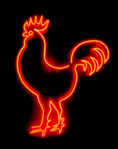The Cock<br>New York City, United States