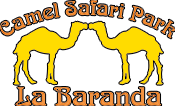Camel Safari Gran Canaria<br>Playa del Ingles, Spain