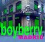 Boyberry <br>Madrid, Spain